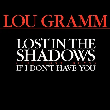 Lost In The Shadows