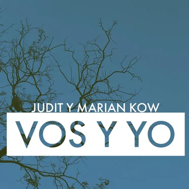 Vos y yo