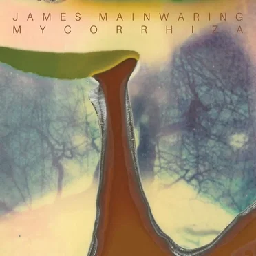 Mycorrhiza by James Mainwaring - album cover