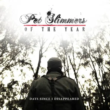 Days Since I Disappeared by Pet Slimmers of the Year - album cover