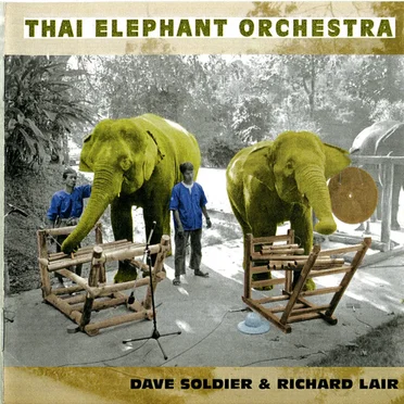 Thai Elephant Orchestra
