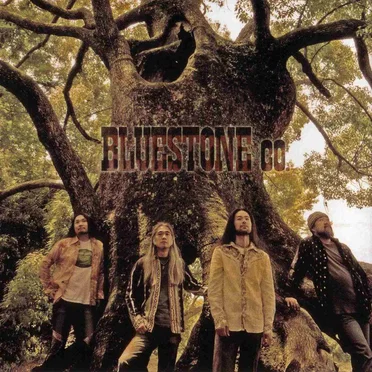 Bluestone Co.