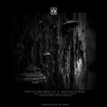 Lost in the Shell by DJ Saint Pierre - album cover
