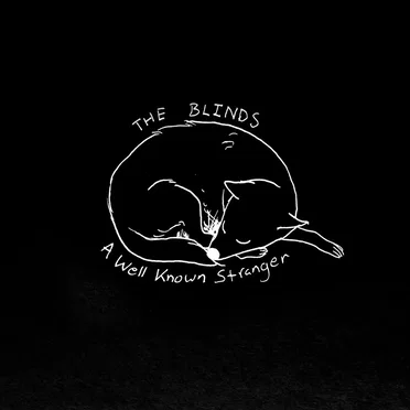 A Well Known Stranger by The Blinds - album cover