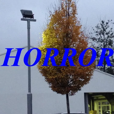 HORROR by the happy birthdays - album cover
