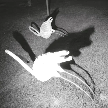 A Mimesis of Nothingness