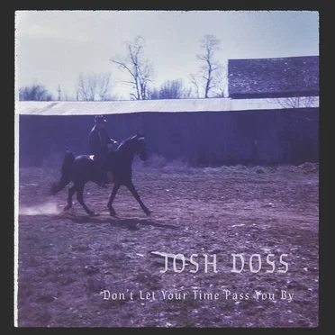Don't Let Your Time Pass You By by Josh Doss - album cover