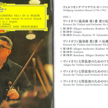 Gesamtwerk für Violine & Orchester