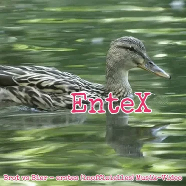 Brot vs Bier by EnteX - album cover