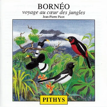 Bornéo : Voyage au cœur des jungles / A Journey to the Heart of Jungle