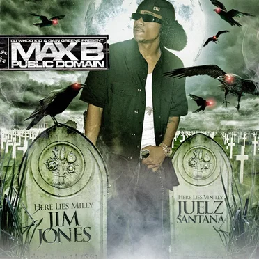 Public Domain 3: Domain Pain by Max B - album cover
