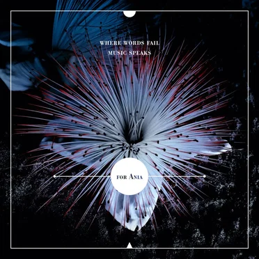 Where Words Fail, Music Speaks - A Compilation for Ania Mehring by Various Artists - album cover