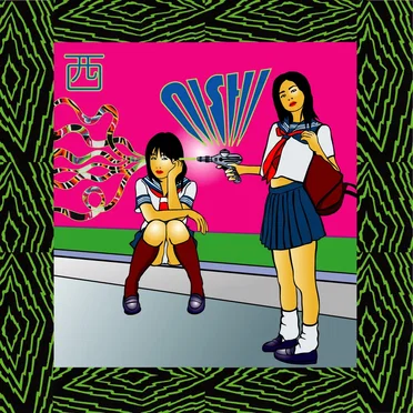 nsh100 by Various Artists - album cover