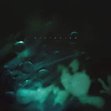 Inside a Quiet Mind by Micronsim - album cover