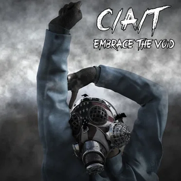 Embrace The Void