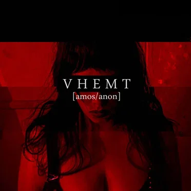 V H E M T by [amos/anon] - album cover