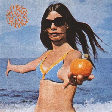 I Said Yes by The Shades of Orange - album cover