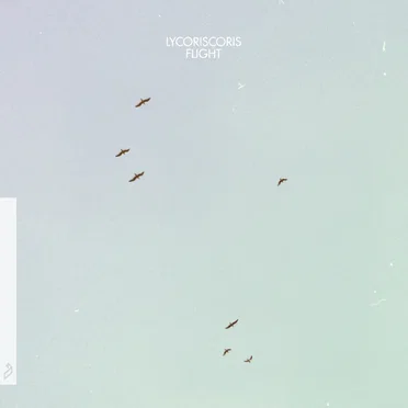 Flight