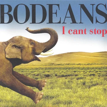I Cant Stop by BoDeans - album cover