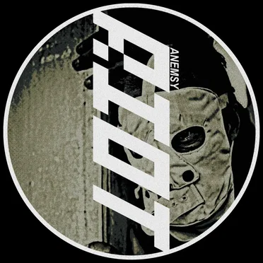 Riot by Anemsy - album cover
