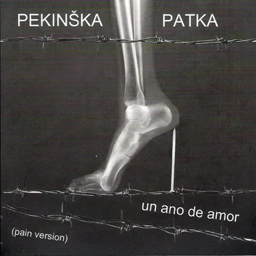 Un ano de amor