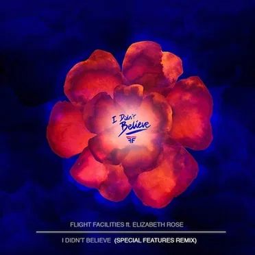 I Didn't Believe (Special Features Remix)