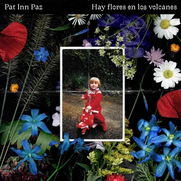 PAT INN PAZ