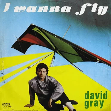 David Gray