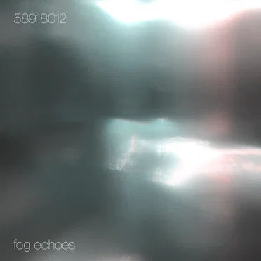 Fog Echoes