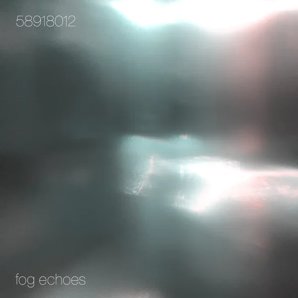 Fog Echoes
