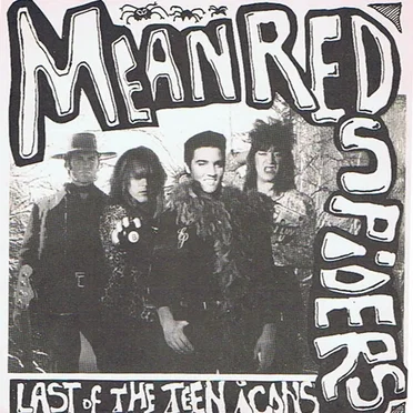 Last of the Teen Icons by Mean Red Spiders - album cover
