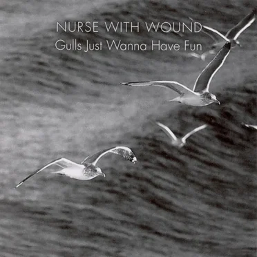Gulls Just Wanna Have Fun
