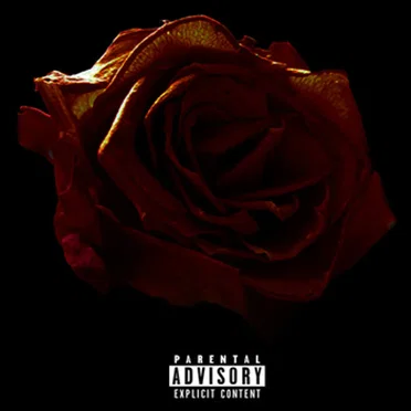 Finding Love In A Dark Place by Jay Tyranny - album cover
