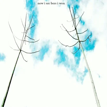 And The Kite Strings Caught In Telephone Wires