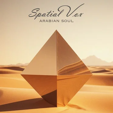 Spatial Vox