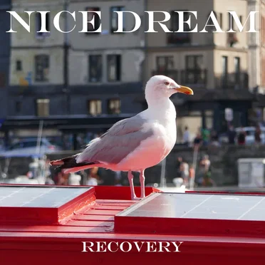 Recovery