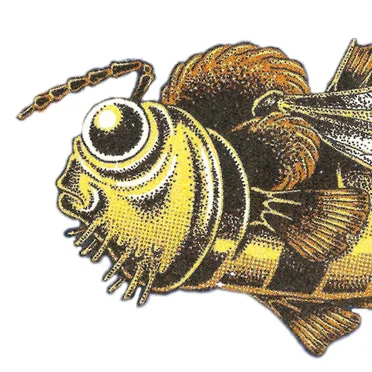 Beetronics Seabee by Emily Hopkins - album cover