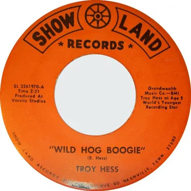 Wild Hog Boogie / Where Will Mommie Go by Troy Hess - album cover