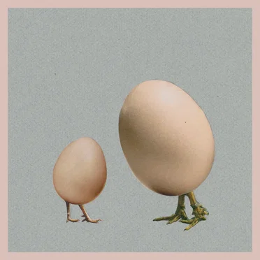 20 by Apta - album cover