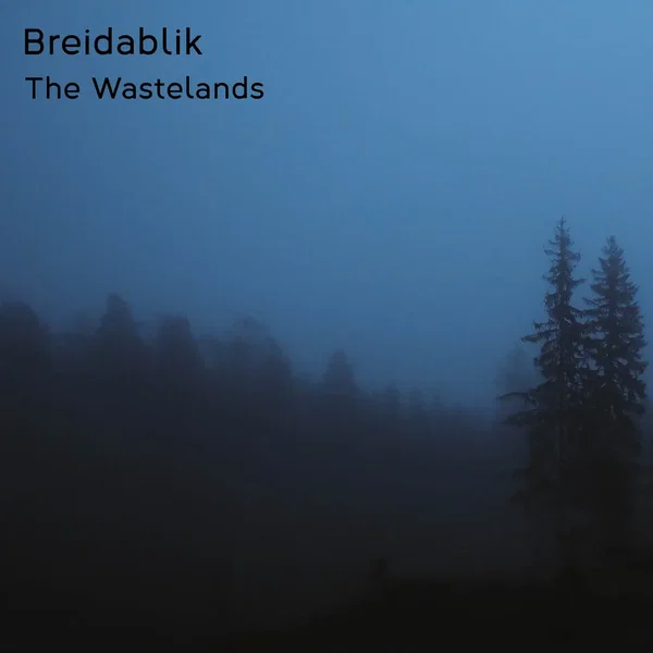 The Wastelands