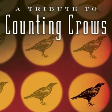 A Guitar Tribute to Counting Crows