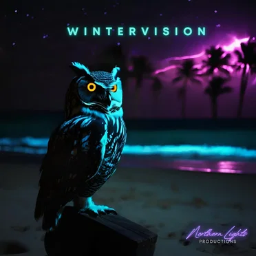 w i n t e r v i s i o n