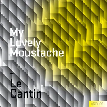 My Lovely Moustache