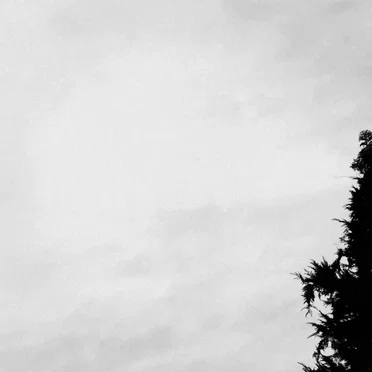 Hip Hop Is My Shrink