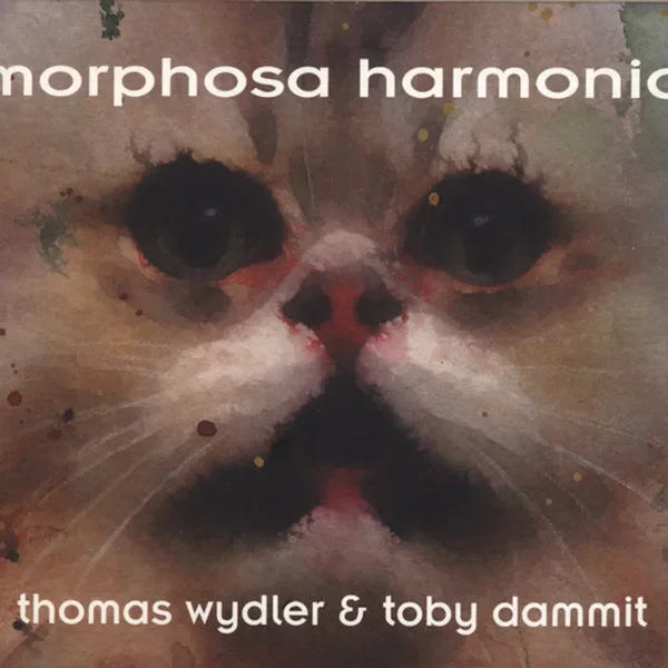 Morphosa Harmonia