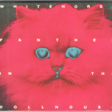 Panther in the Dollhouse