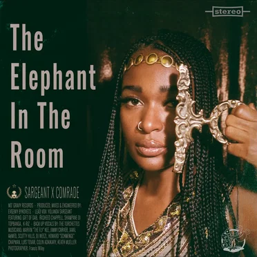 The Elephant in the Room