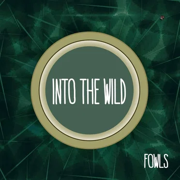 Into The Wild by Fowls - album cover