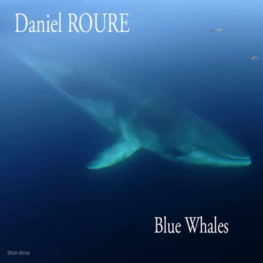 Blue Whales