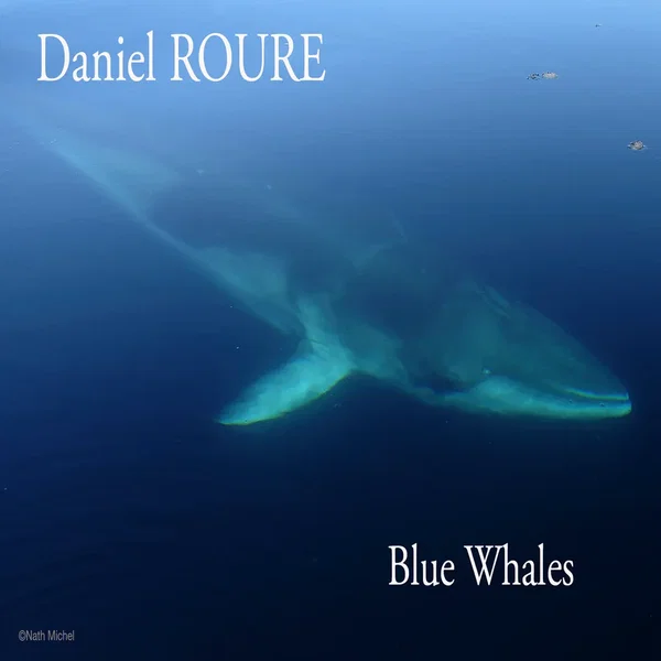 Blue Whales